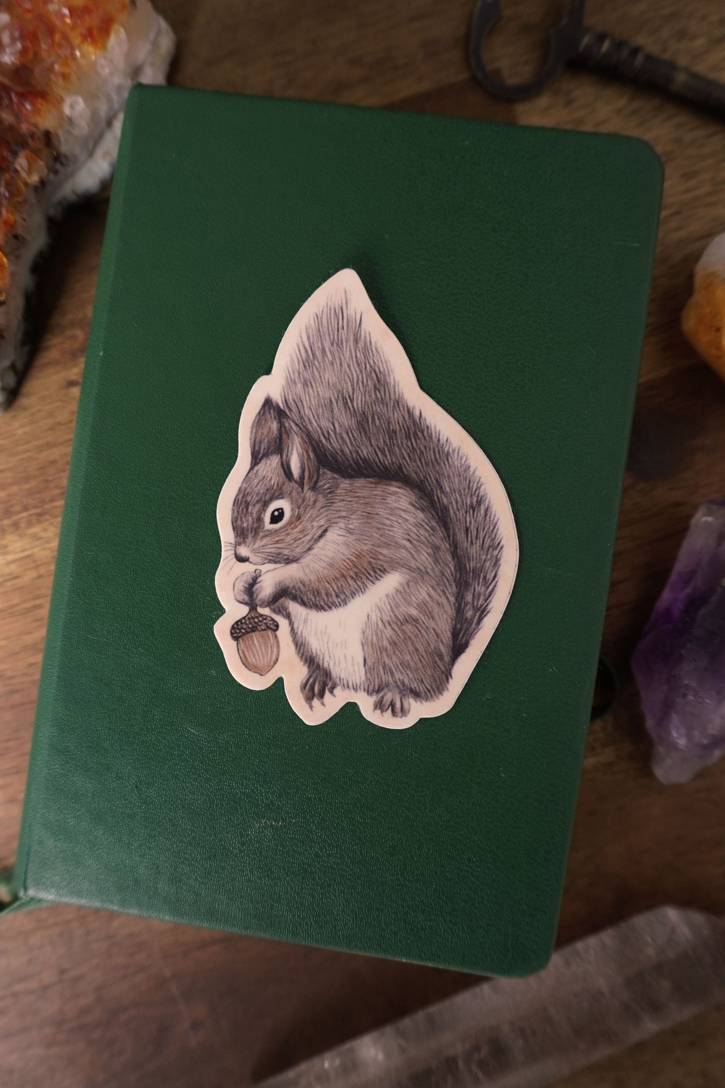Squirrel Vinyl Sticker