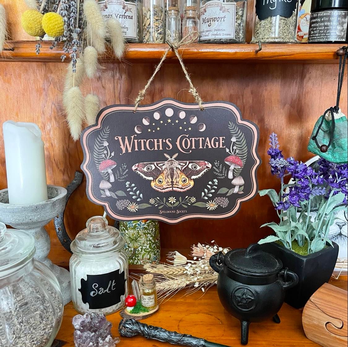 Witch's Cottage Dark Moth Wall Hanging