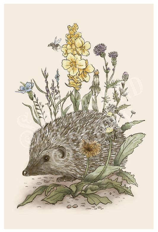 Woodland Hedgehog - 12"x18"  Vertical Poster